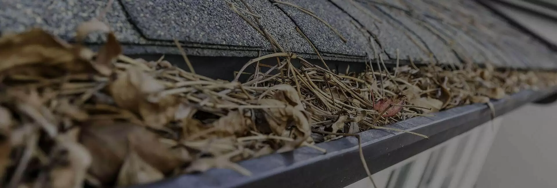 Gutter Cleaning